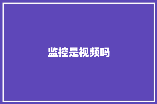 监控是视频吗