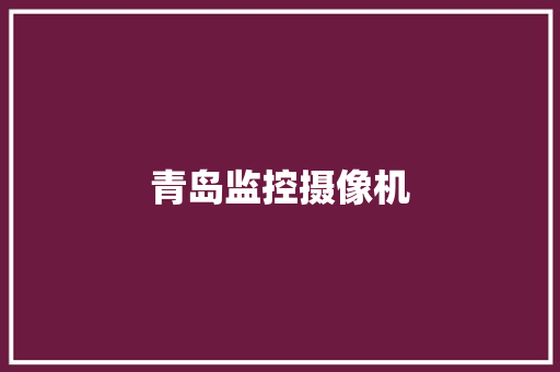 青岛监控摄像机