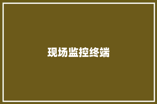 现场监控终端,摄像机品牌前十名。