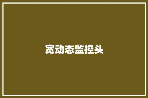 宽动态监控头