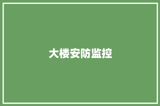 大楼安防监控