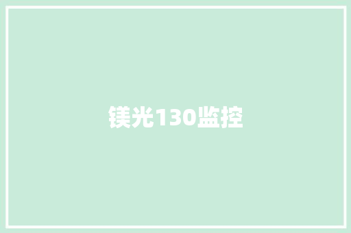 镁光130监控