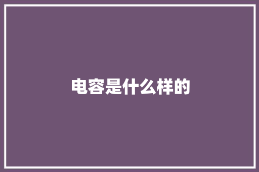 电容是什么样的,电容的作用和用途。