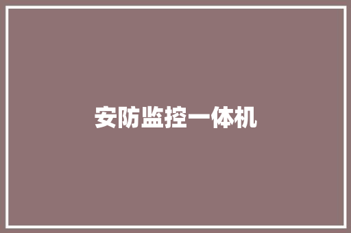 安防监控一体机