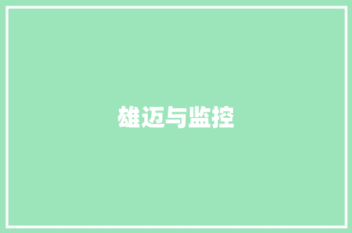 雄迈与监控