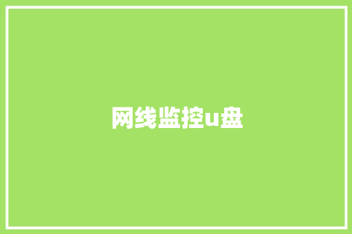 网线监控u盘