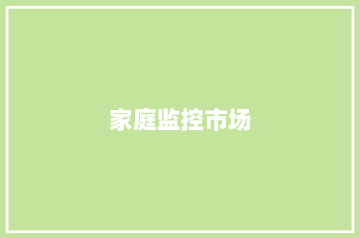 家庭监控市场,安保公司。