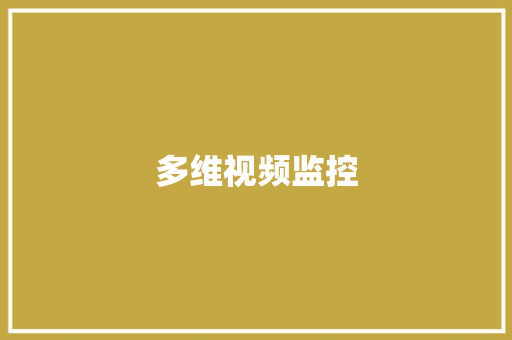 多维视频监控