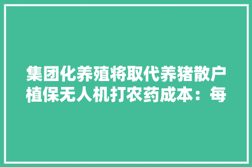 集团化养殖将取代养猪散户植保无人机打农药成本：每亩8元
