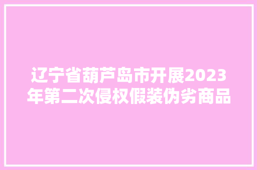 辽宁省葫芦岛市开展2023年第二次侵权假装伪劣商品销毁行动