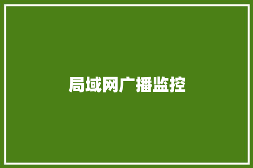 局域网广播监控