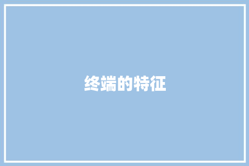 终端的特征