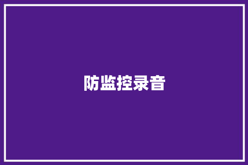 防监控录音