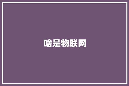 啥是物联网