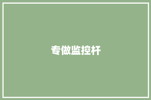 专做监控杆