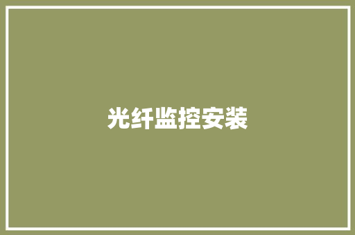 光纤监控安装