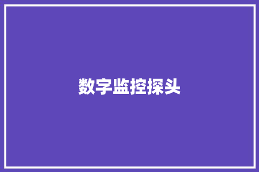 数字监控探头,同轴开关。