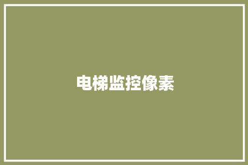 电梯监控像素