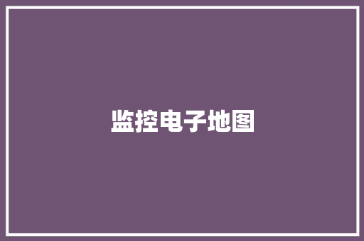 监控电子地图