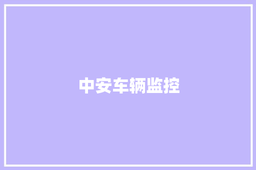 中安车辆监控