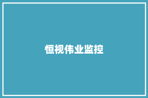 恒视伟业监控,工作总结ai生成。