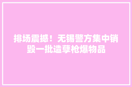 排场震撼！无锡警方集中销毁一批造孽枪爆物品