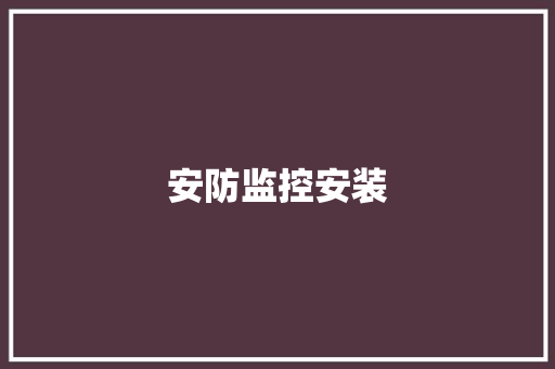 安防监控安装