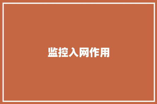监控入网作用