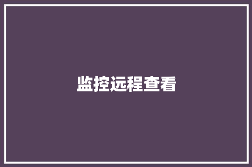 监控远程查看,监控安装公司。