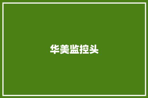 华美监控头