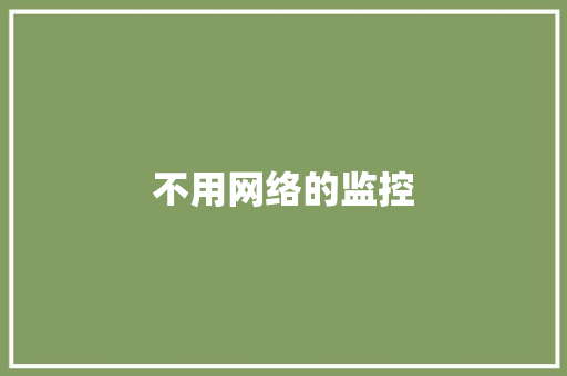 不用网络的监控