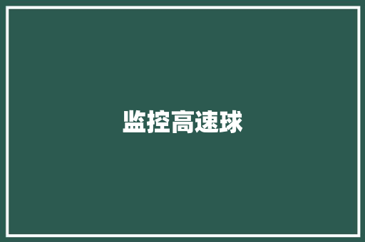 监控高速球