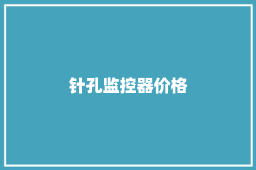 针孔监控器价格,针孔录像头在哪里买。