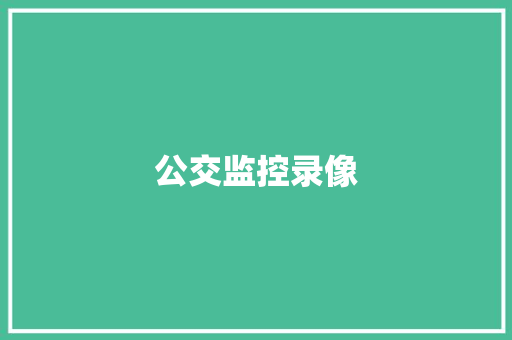 公交监控录像