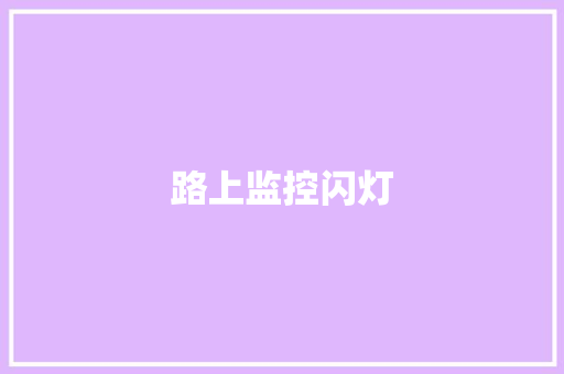 路上监控闪灯