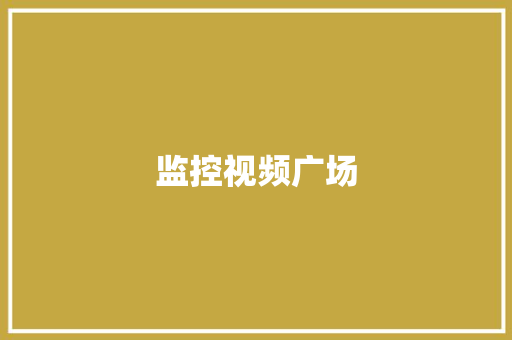 监控视频广场,车道保持图标。