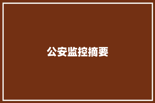 公安监控摘要