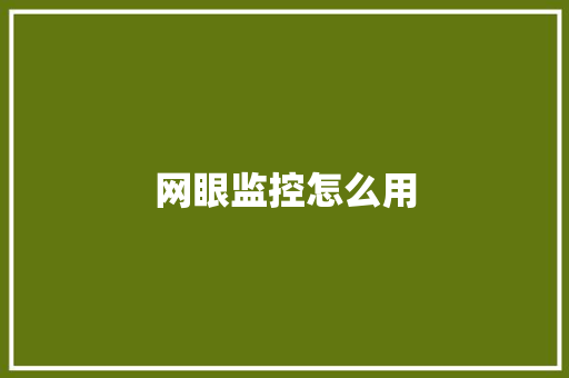 网眼监控怎么用