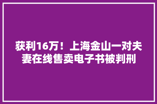 获利16万！上海金山一对夫妻在线售卖电子书被判刑