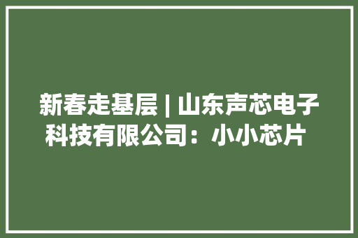 新春走基层 | 山东声芯电子科技有限公司：小小芯片 创造切切产值
