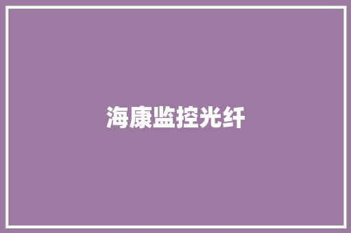 海康监控光纤,传输文件的网站。