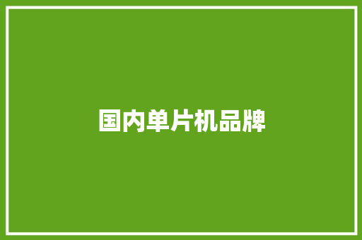 国内单片机品牌