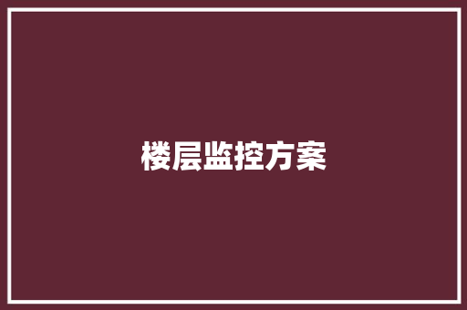 楼层监控方案