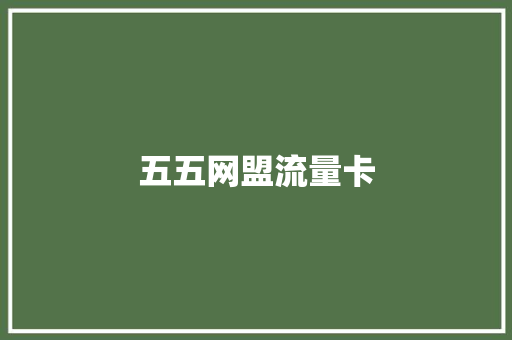 五五网盟流量卡