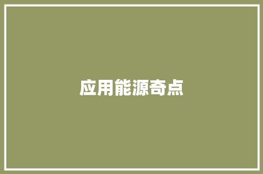 应用能源奇点