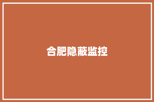 合肥隐蔽监控,诈骗多少金额可以立案。