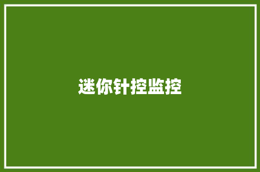 迷你针控监控