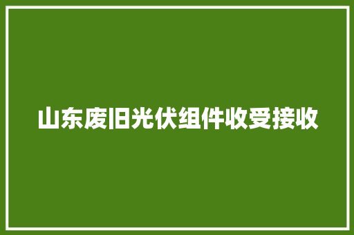 山东废旧光伏组件收受接收
