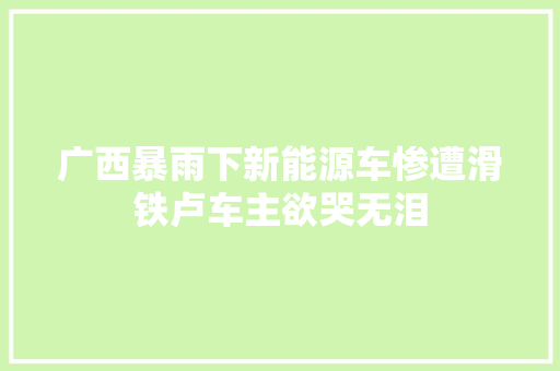 广西暴雨下新能源车惨遭滑铁卢车主欲哭无泪