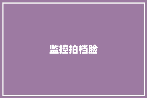 监控拍档脸,监控安装公司。